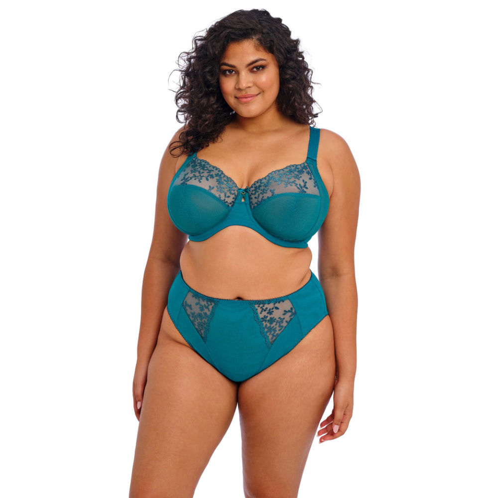 Elomi Zarla High Leg Brief EL302553